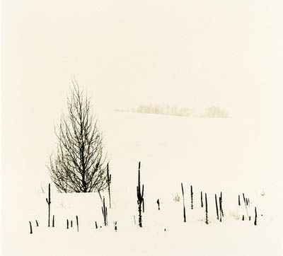 Montana winter series #5