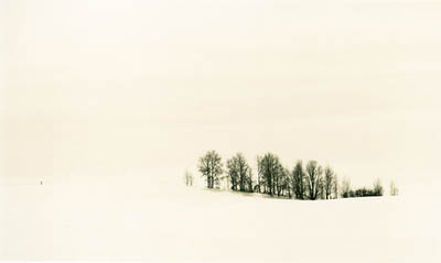 Montana winter series #7