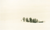 Montana winter series #7