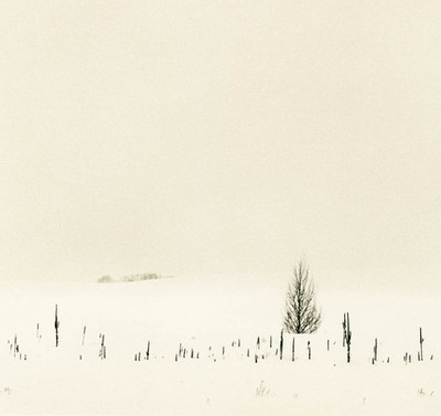 Montana winter series #9
