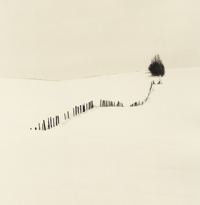 Montana Winter series #6