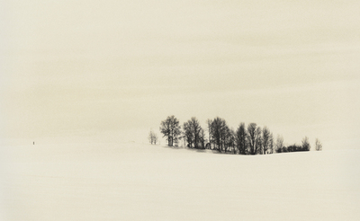 Montana Winter series #7