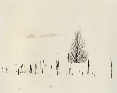 Montana Winter series #11