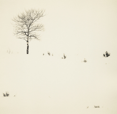 White Series #6