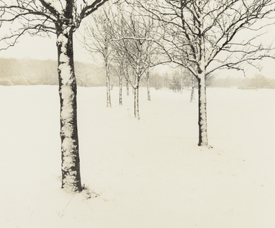 Snow blown