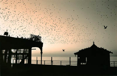 West Pier #24