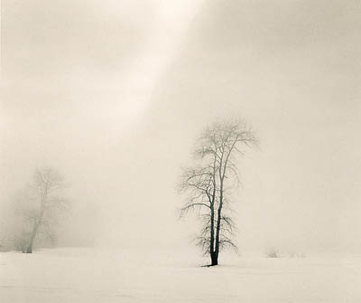 Yosemite in winter. Dusk